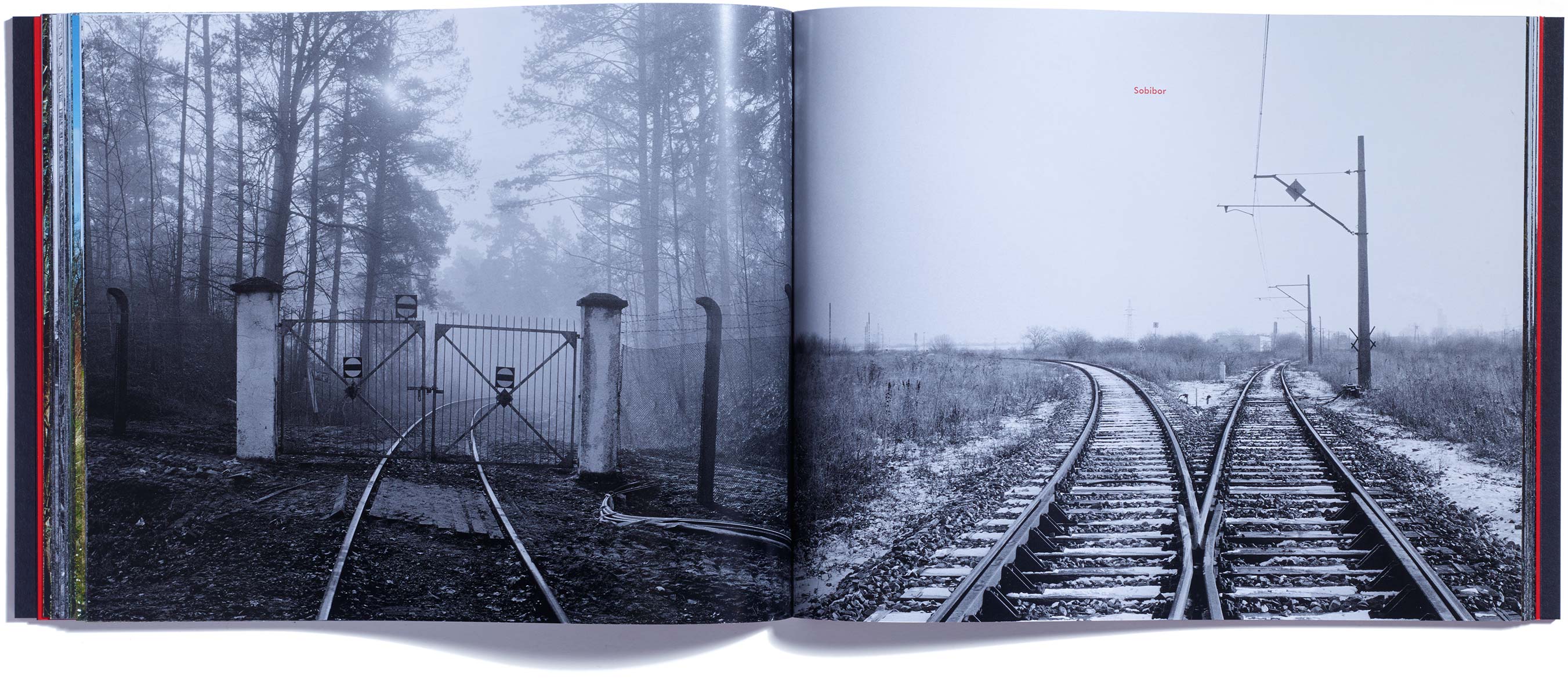 Browns Editions, Browns Editions Publishing, Browns Editions Books, Browns Editions Brian Griffin, Browns Editions Himmelstrasse, Browns Editions Brian Griffin Himmelstrasse