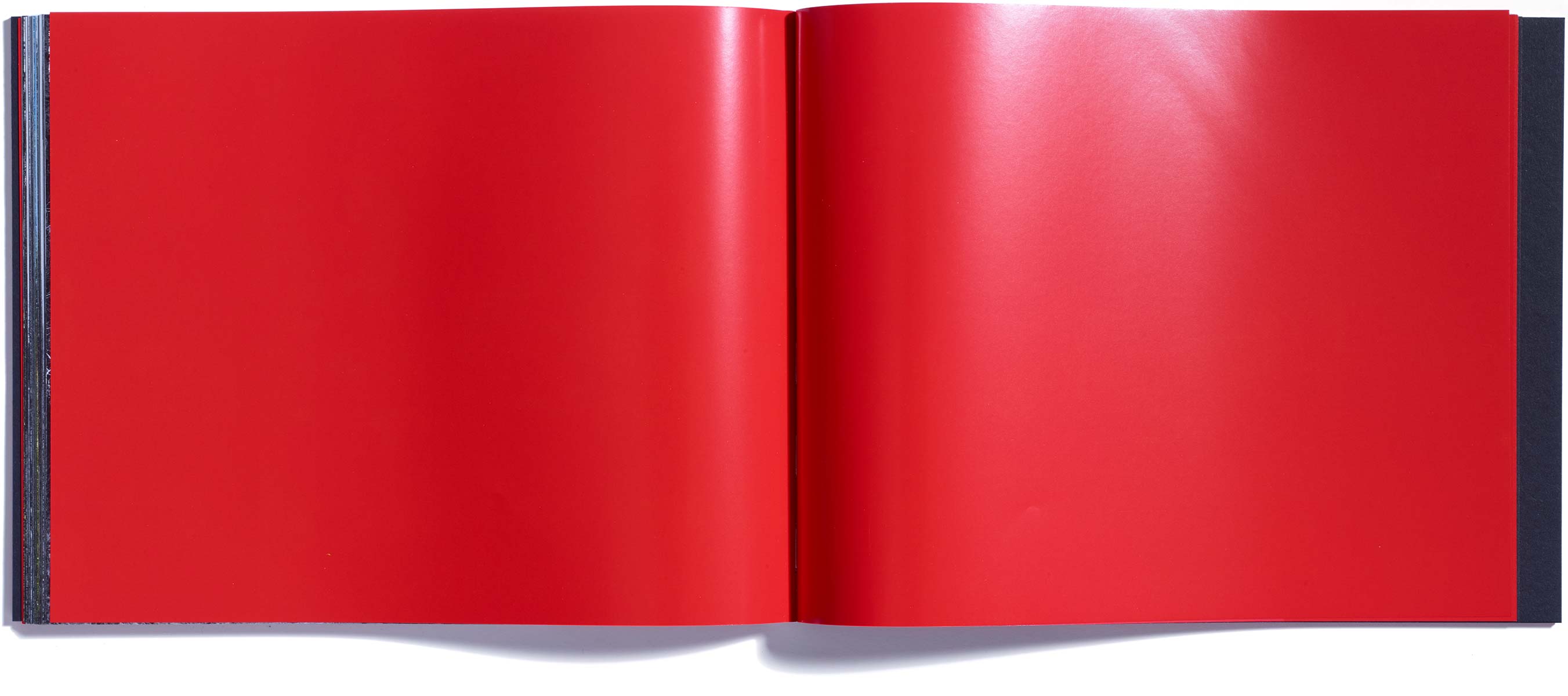 Browns Editions, Browns Editions Publishing, Browns Editions Books, Browns Editions Brian Griffin, Browns Editions Himmelstrasse, Browns Editions Brian Griffin Himmelstrasse