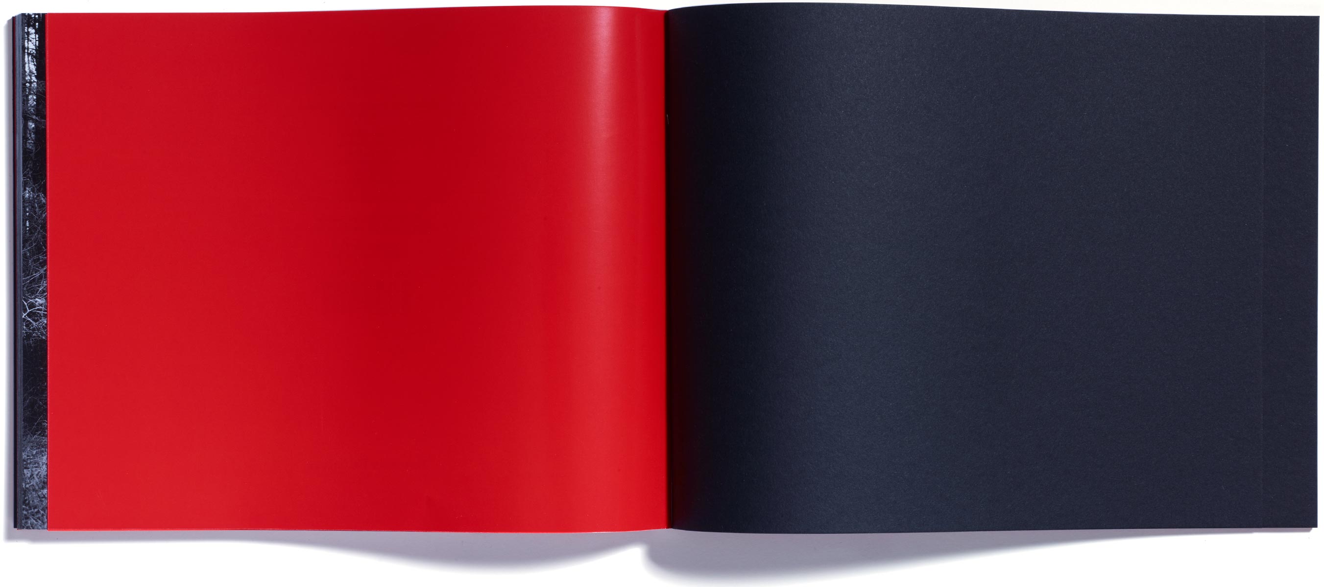 Browns Editions, Browns Editions Publishing, Browns Editions Books, Browns Editions Brian Griffin, Browns Editions Himmelstrasse, Browns Editions Brian Griffin Himmelstrasse