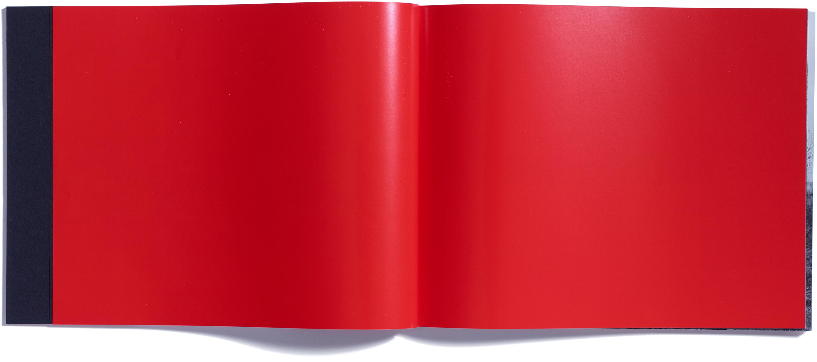 Browns Editions, Browns Editions Publishing, Browns Editions Books, Browns Editions Brian Griffin, Browns Editions Himmelstrasse, Browns Editions Brian Griffin Himmelstrasse