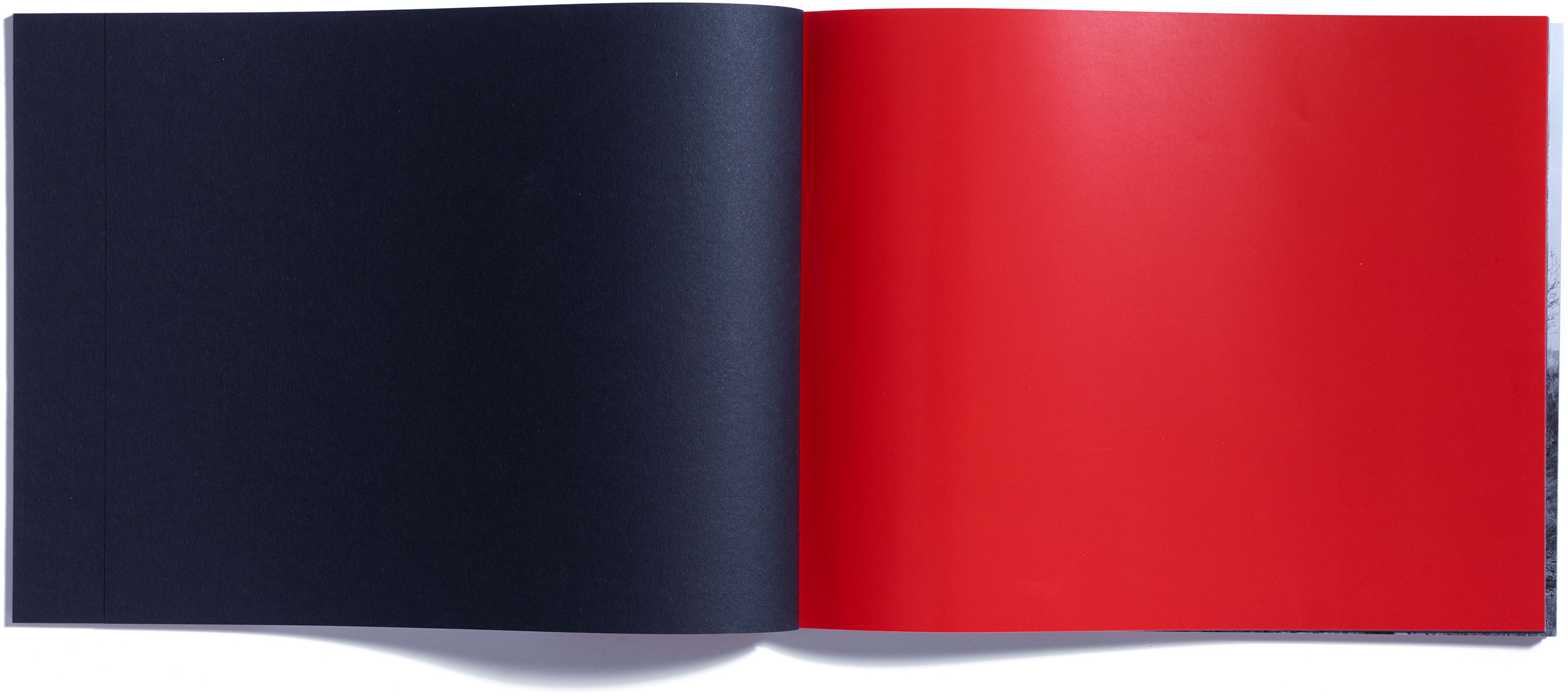 Browns Editions, Browns Editions Publishing, Browns Editions Books, Browns Editions Brian Griffin, Browns Editions Himmelstrasse, Browns Editions Brian Griffin Himmelstrasse